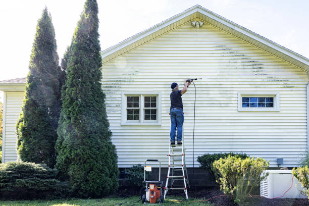 Best Solar Panel Cleaning  in Colfax, IL